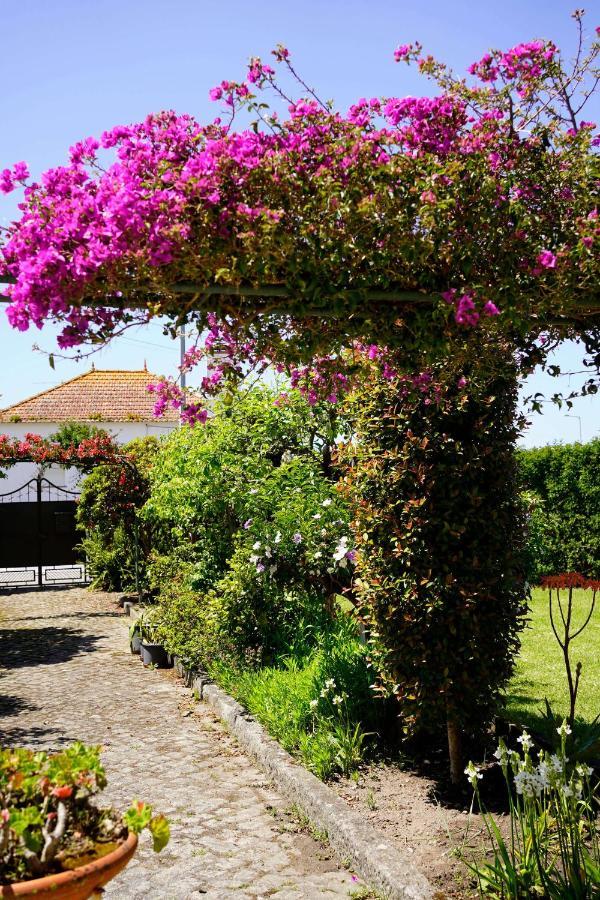 Hotel Casa Do Avo Horacio Viana do Castelo Exteriér fotografie